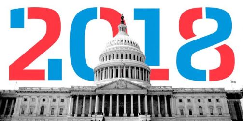 Image result for images of mid term election of 2018